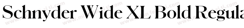 Schnyder Wide XL Bold Regular字体转换